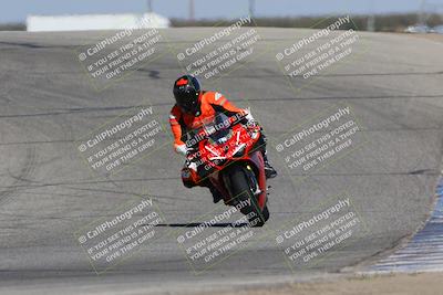 media/Oct-29-2023-Carters at The Track (Sun) [[b2bb4383ab]]/B Plus/120pm (Outside Grapevine)/